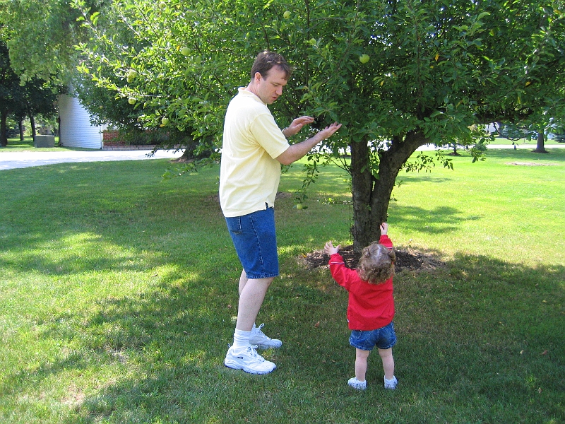 IMG 1715