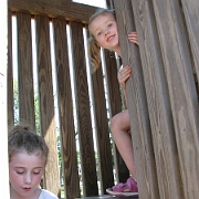 IMG 7891
