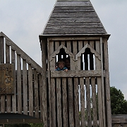 IMG 7336